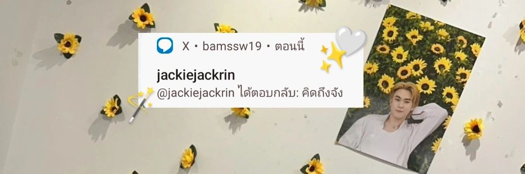 meow ⑅ˊᵕˋ⑅'s banner