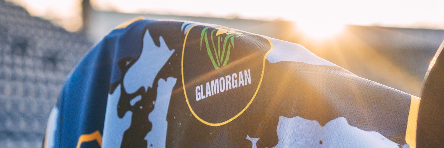 Glamorgan Cricket's banner