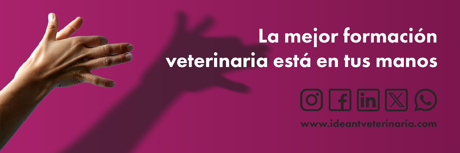 Ideant Veterinaria's banner