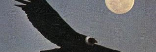 Gire a la Derecha's banner