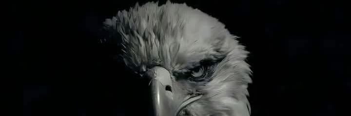 MAGA Guardian🇺🇸's banner