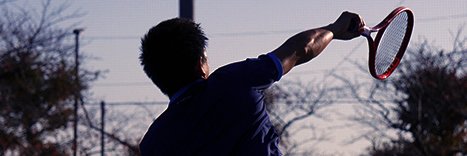全日本男子プロテニス選手会's banner