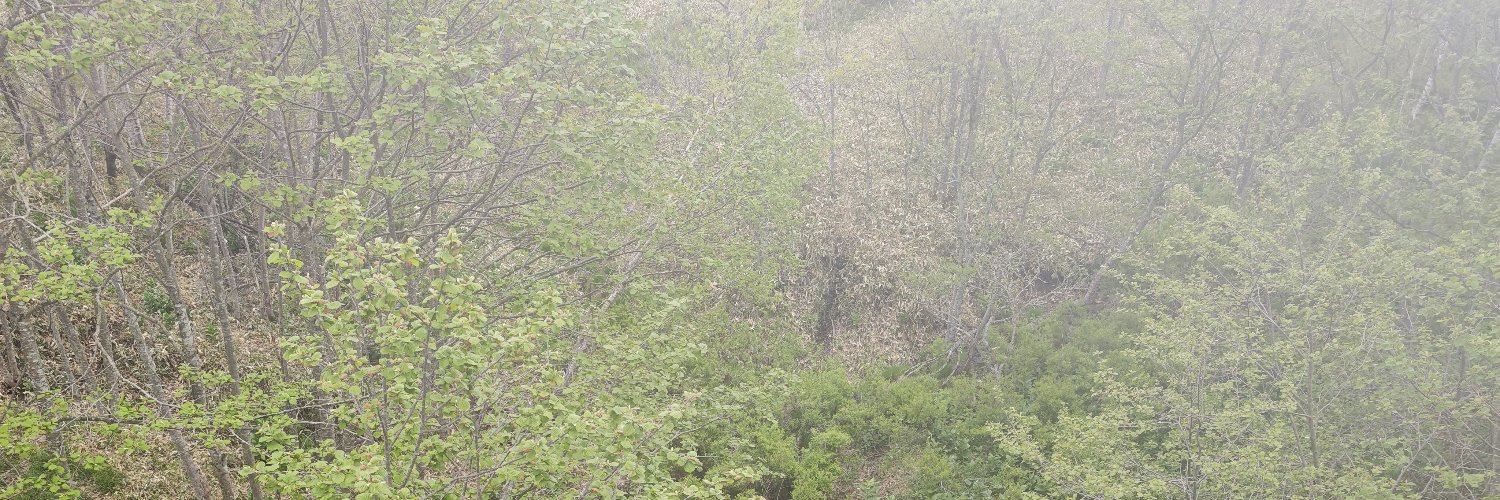 あの日あの時 散りゆく燈り's banner