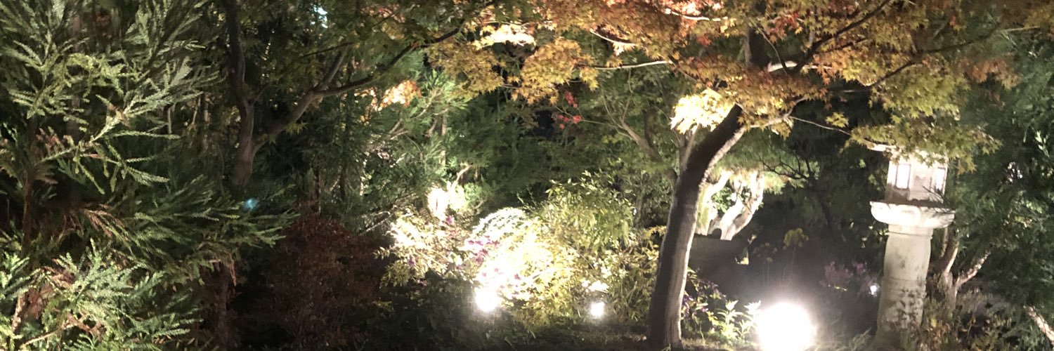 どMな抹茶's banner