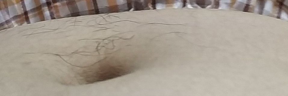 如花叔叔's banner
