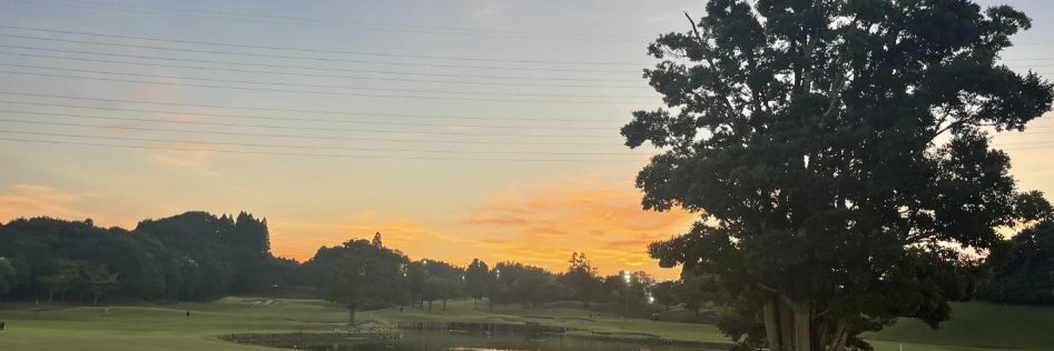ℂ𝕆's banner