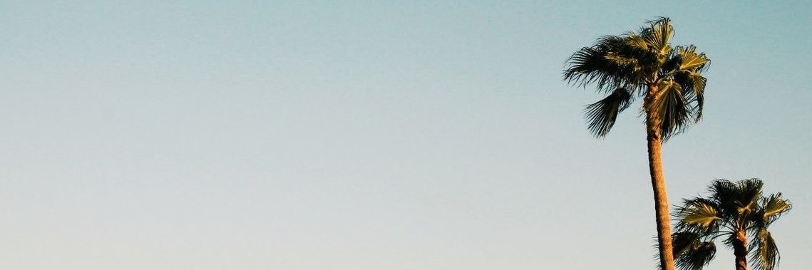 Frankie's banner