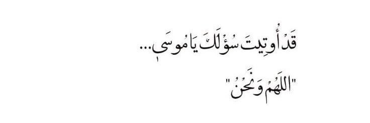 أروى ✨'s banner