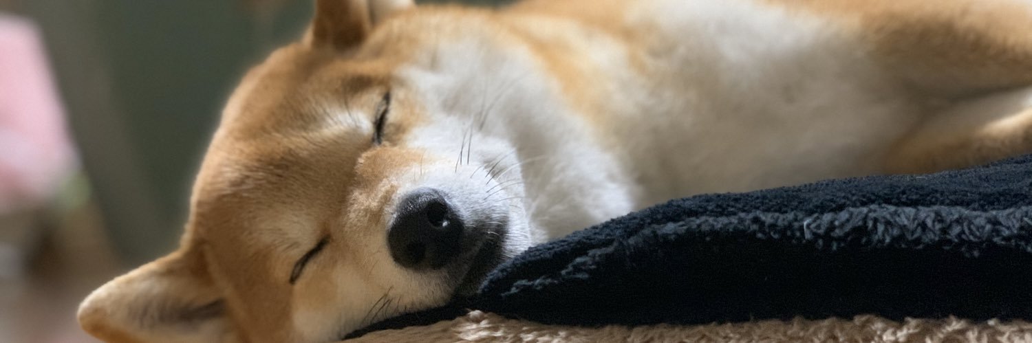 柴犬ハル's banner