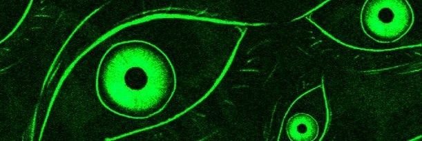 👁️ E L I A S 👁️'s banner