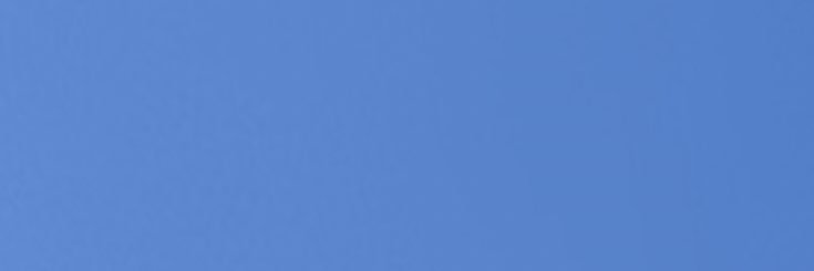 hilma's banner