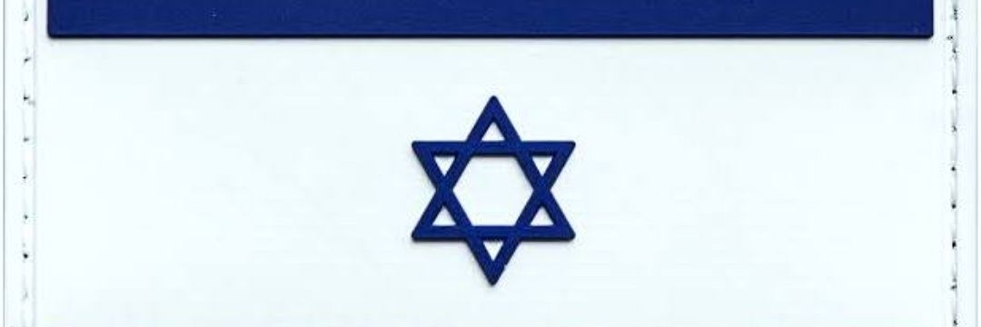 די לצביעות's banner