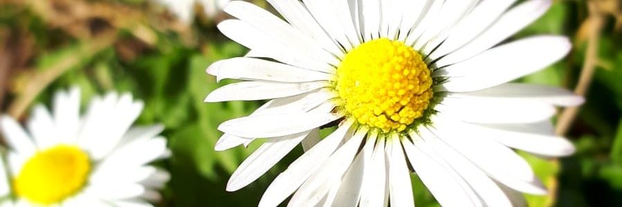♡'s banner