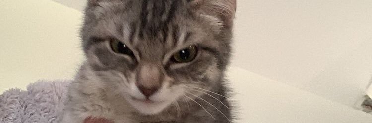 r 𓆩ᗢ𓆪 ☁️'s banner