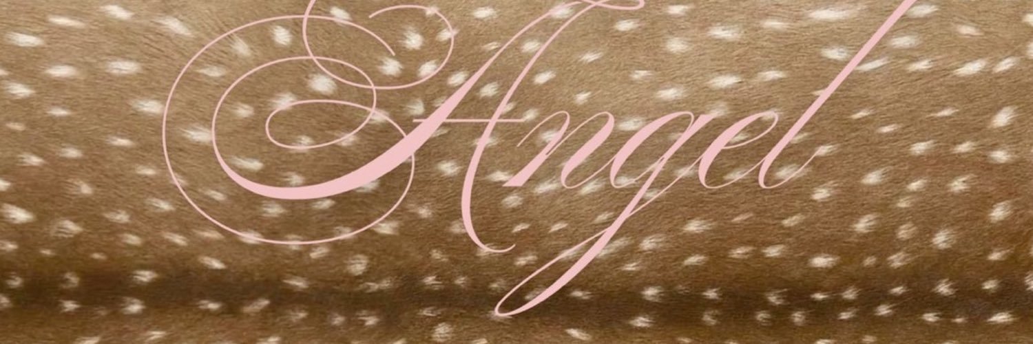 𝒮's banner