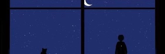 ميروسلاف🦩's banner