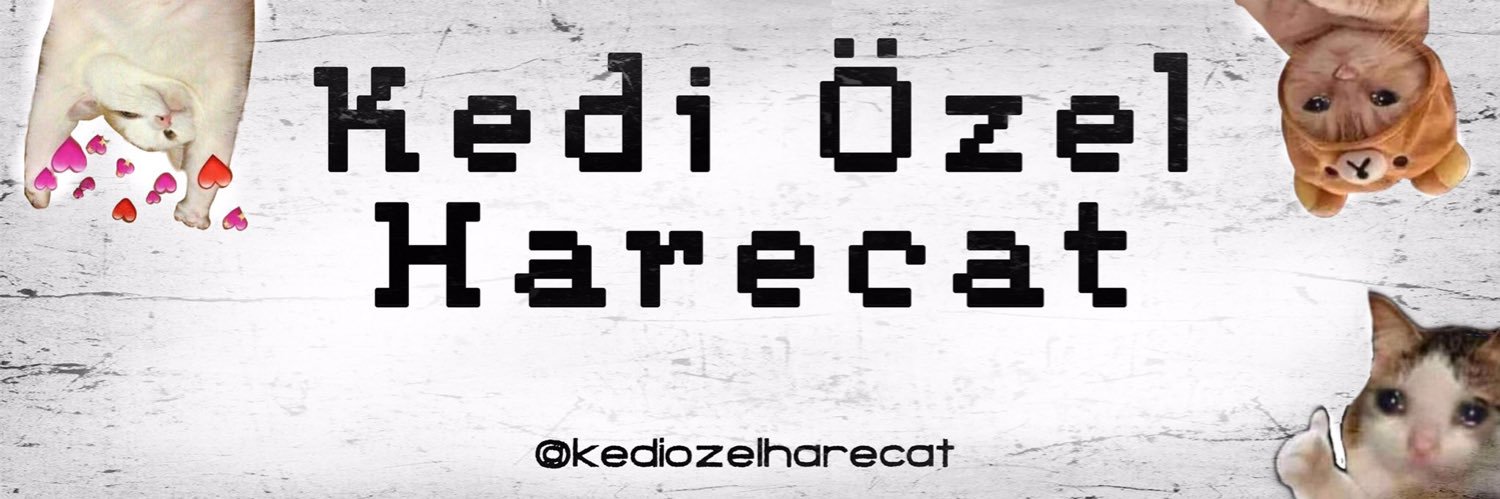 kedi t's banner