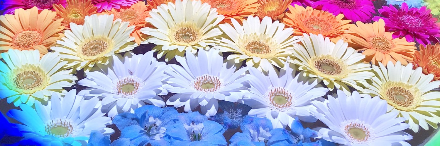 菊池紗矢香's banner