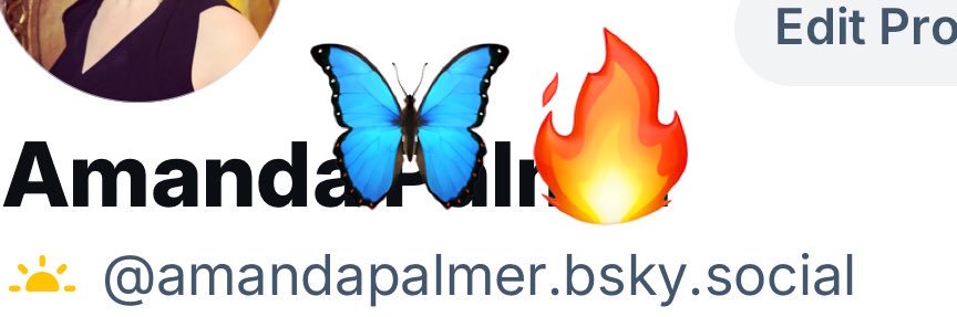 Amanda Palmer 🎹's banner