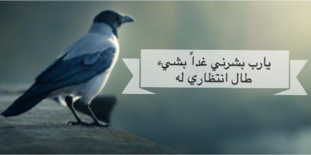 أبو لماااار 💙 عبدالله ...'s banner