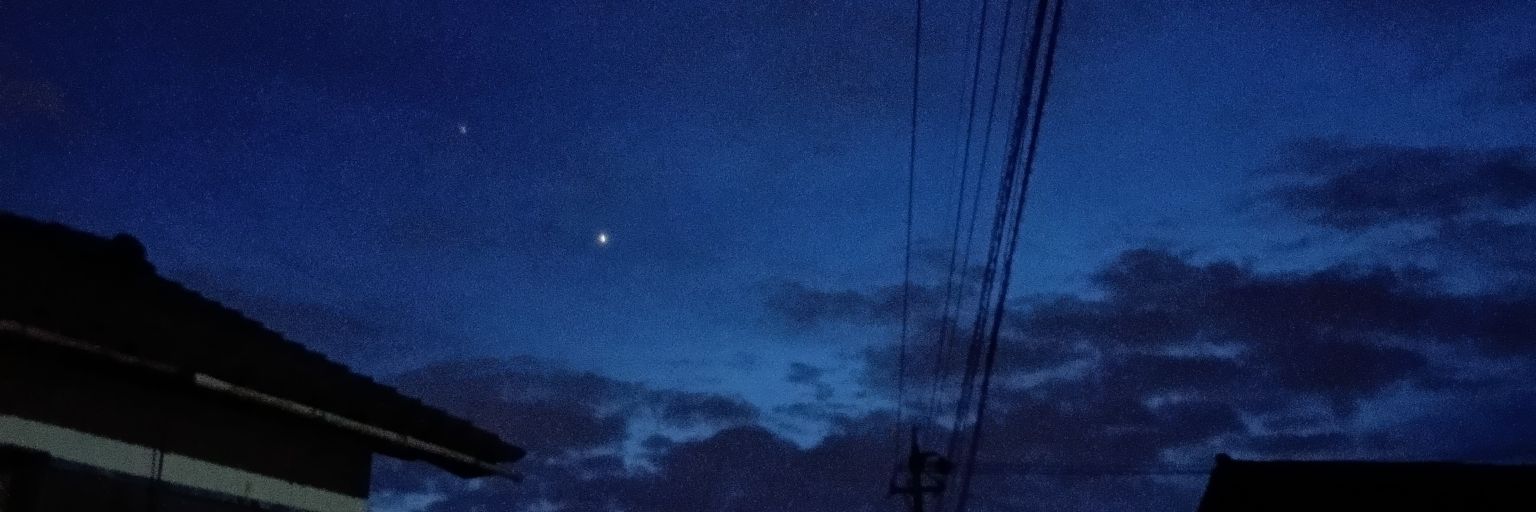 はたのつばさ(元衆議院議員)'s banner