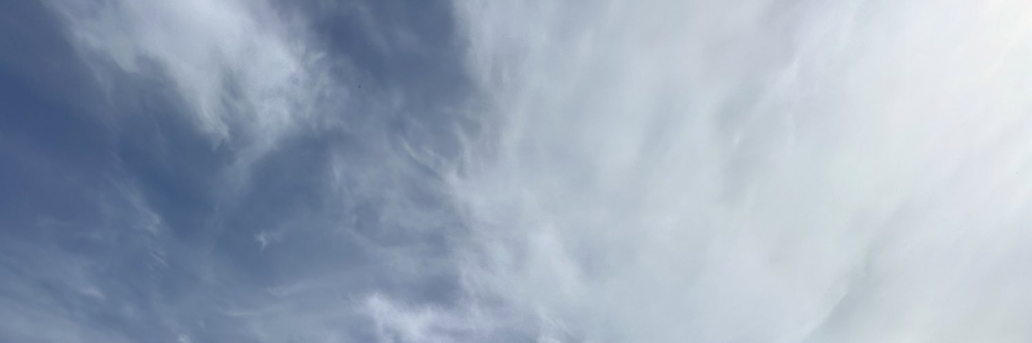 moana's banner