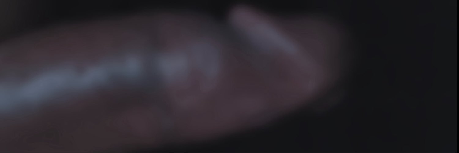 PaPa🧸's banner