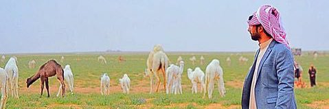 غانم الجحفل's banner