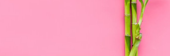 happibess 🎍 EU GOM's banner