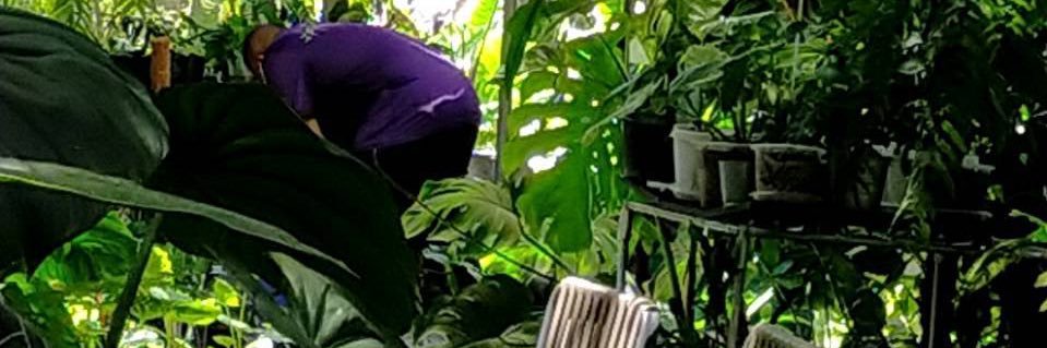 M L's banner