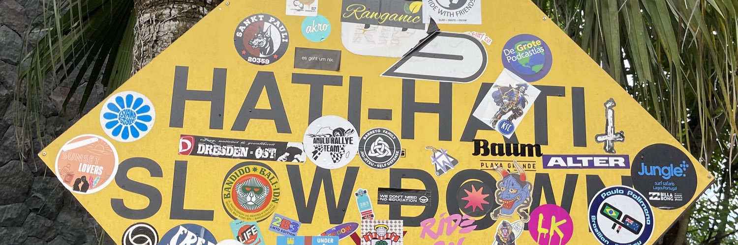 Darina's banner