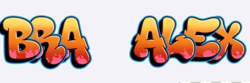Bra Alex's banner