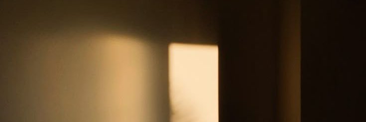 ann ⋆.ೃ࿔*:･'s banner