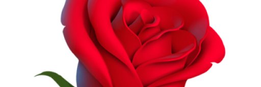 grindas's banner