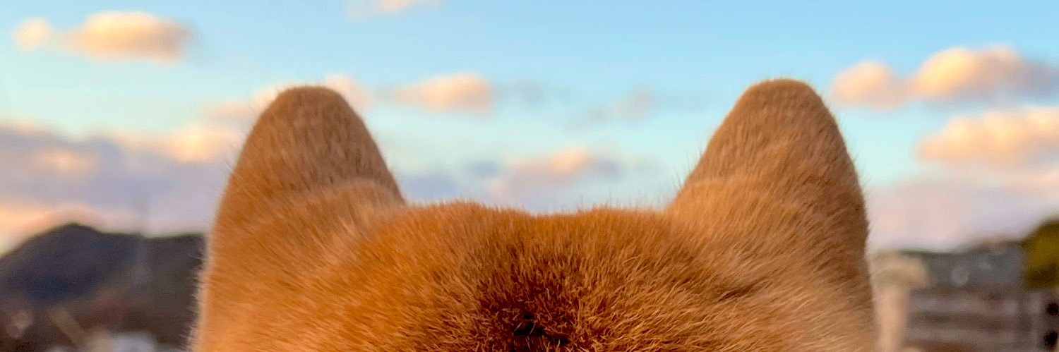 柴犬ふう太's banner