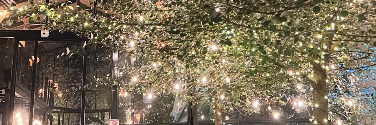D🦋niela's banner