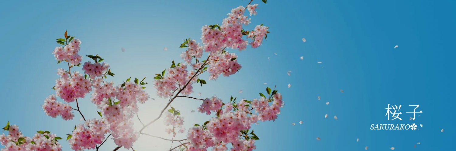 桜子🌸＊ᐝ's banner