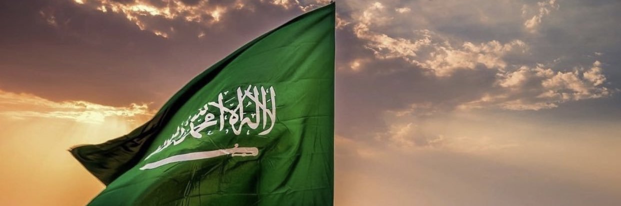 نينا 🇸🇦🎓's banner