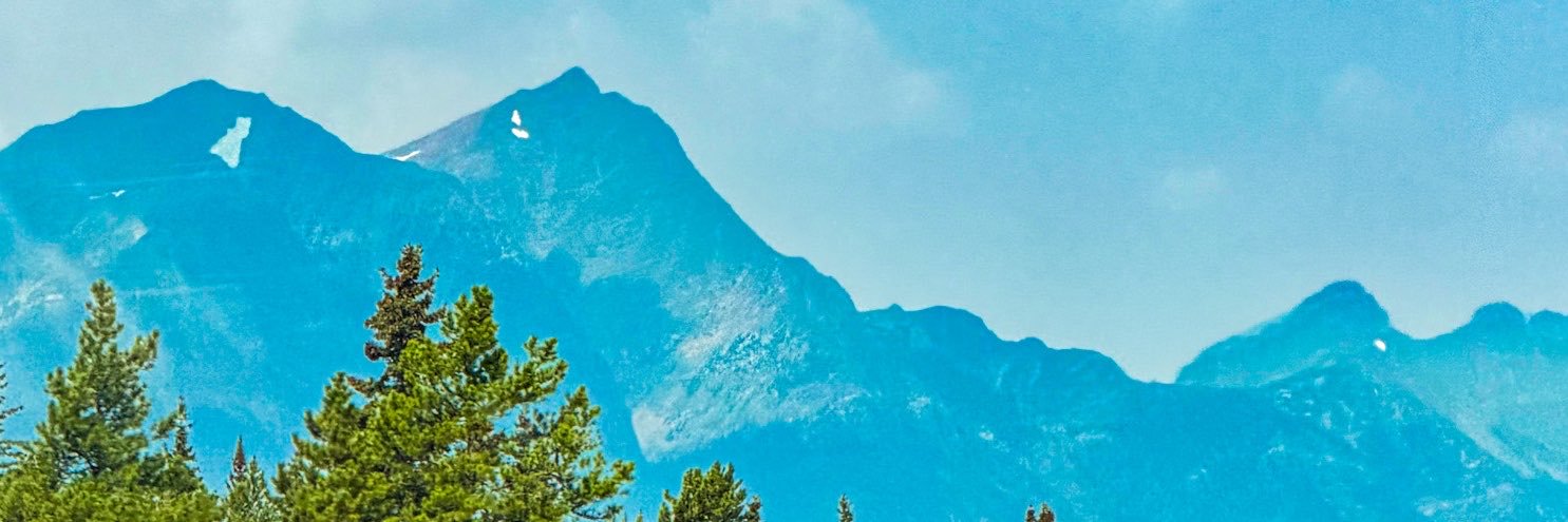 C H I D Z O's banner