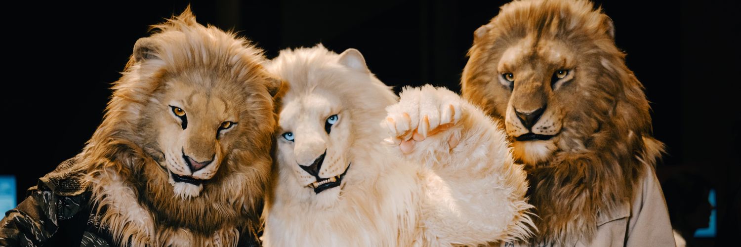 Dongo's banner