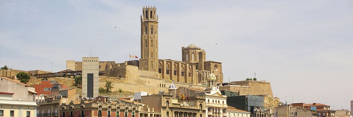 Xavi Palau's banner