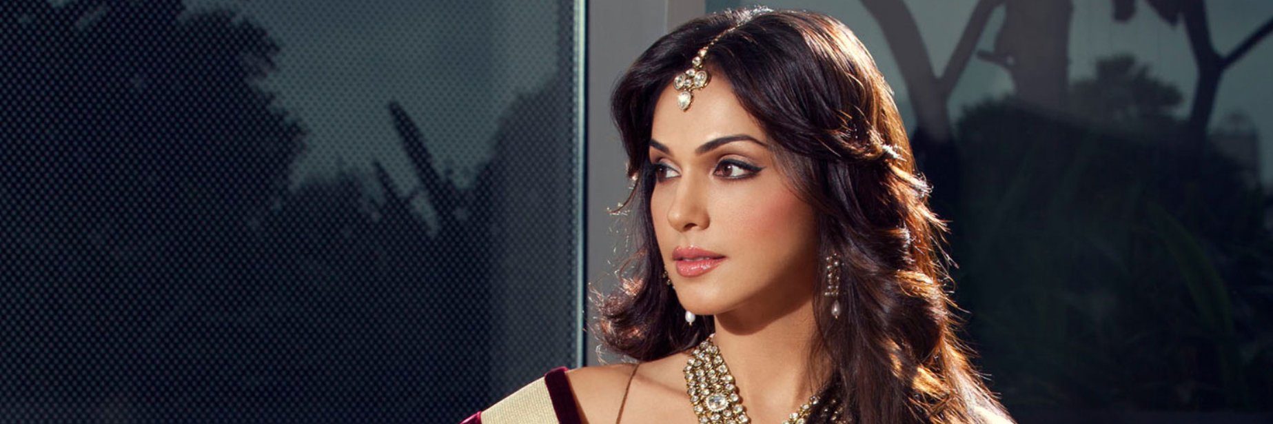 Isha Koppikar's banner