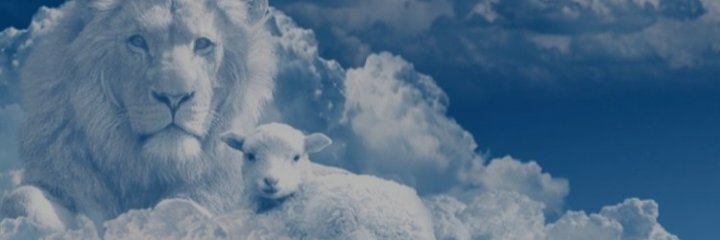 𝓐𝓭𝓻𝓲𝓪𝓷𝓪 -𝓐𝓷𝓪 🌻🌻's banner