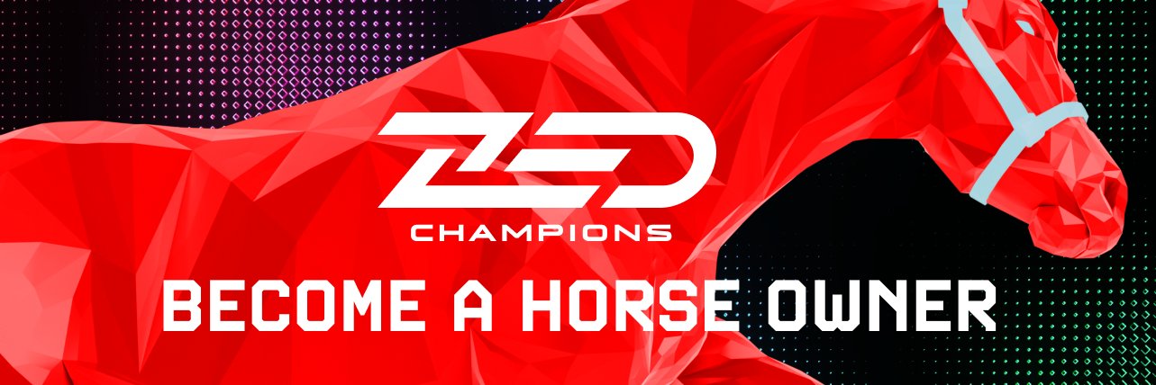 ZED CHAMPIONS's banner