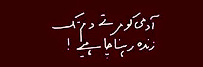 Ali Raza Shaaf's banner