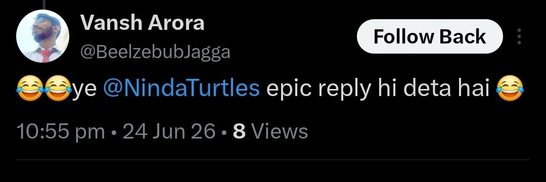 Ninda Turtle's banner