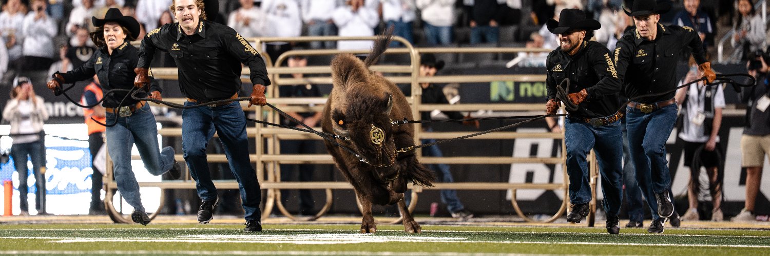 Colorado Buffaloes's banner