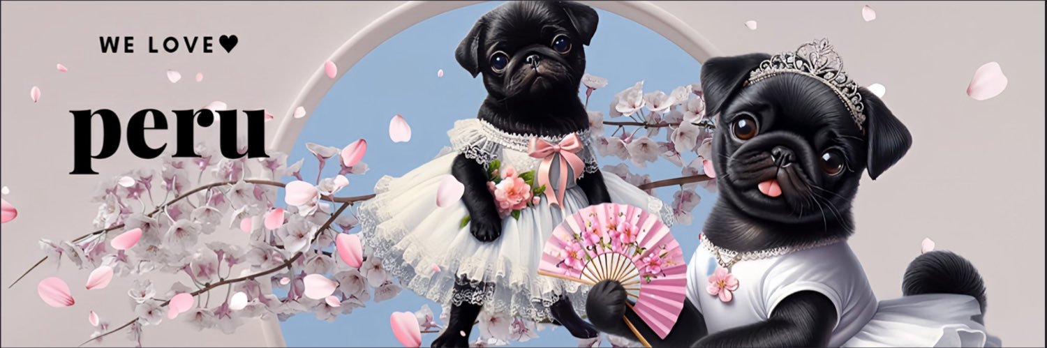 黒パグ ペル's banner