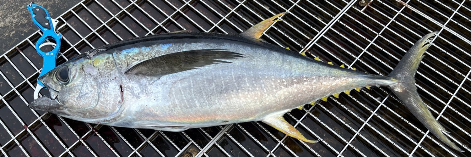 釣れぬ釣り師's banner