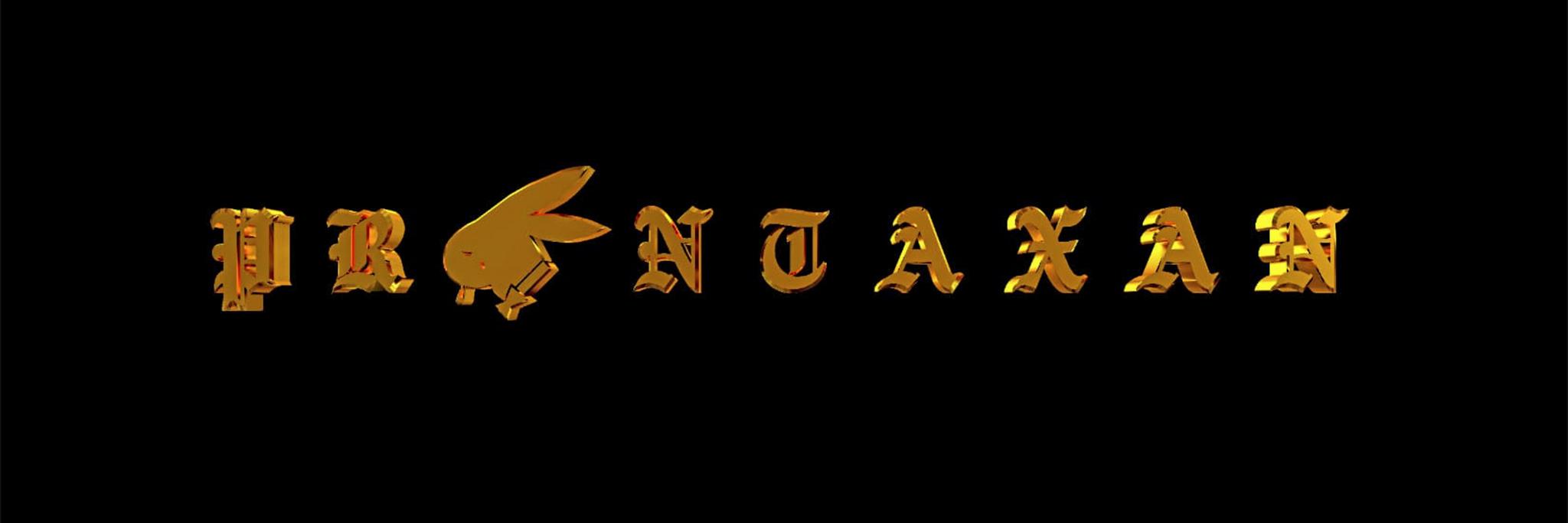 PRONTAXAN's banner